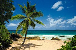 Palm Beach